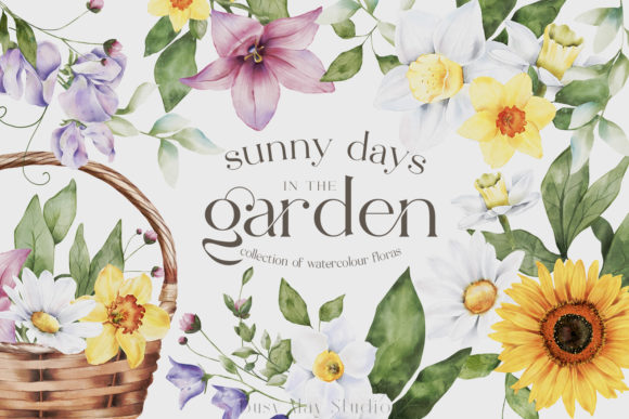 Download Spring Florals Watercolour Daffodils PNG - Florals Collection