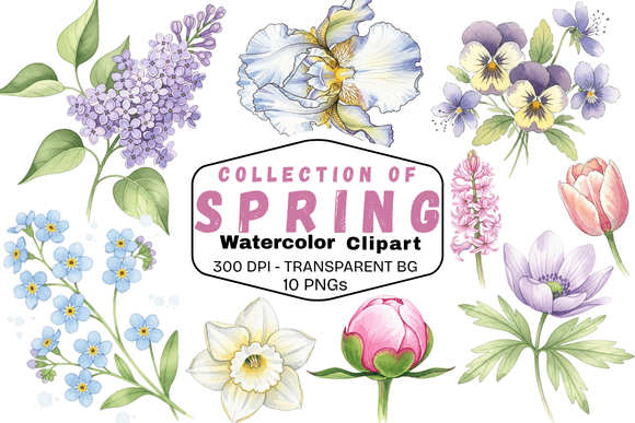 Download Delicate Spring Watercolor Florals - Florals Collection